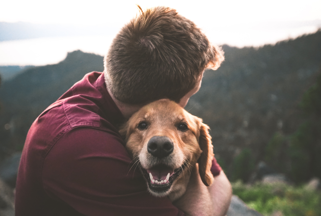 Your information can help stray pet find its way back home | Furstamp